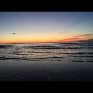 Meet your Posher, Ani